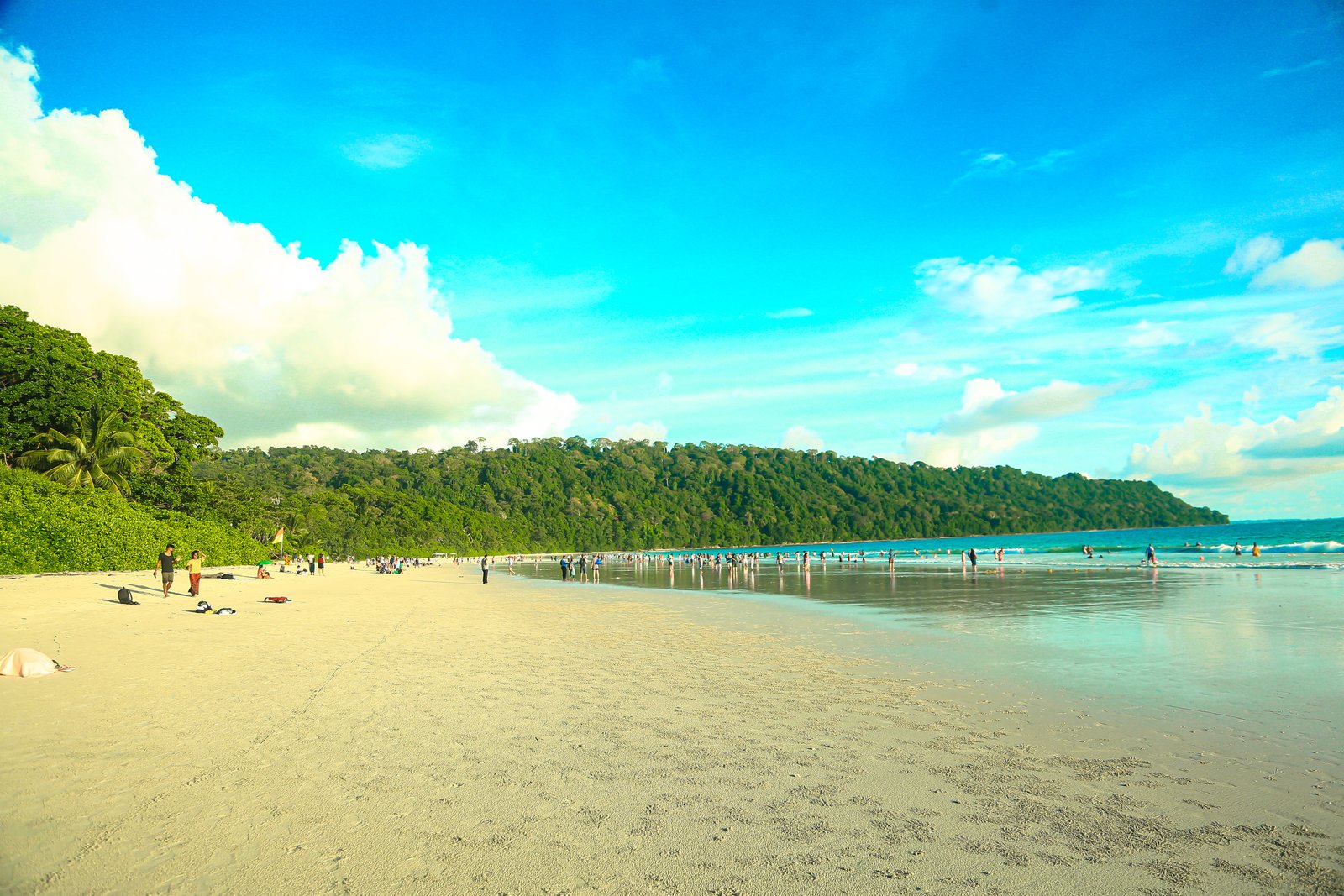 Havelock Island Andaman with turquoise sea and tropical coastline